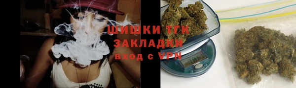 шишки Алзамай