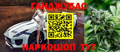крисы Чебоксары