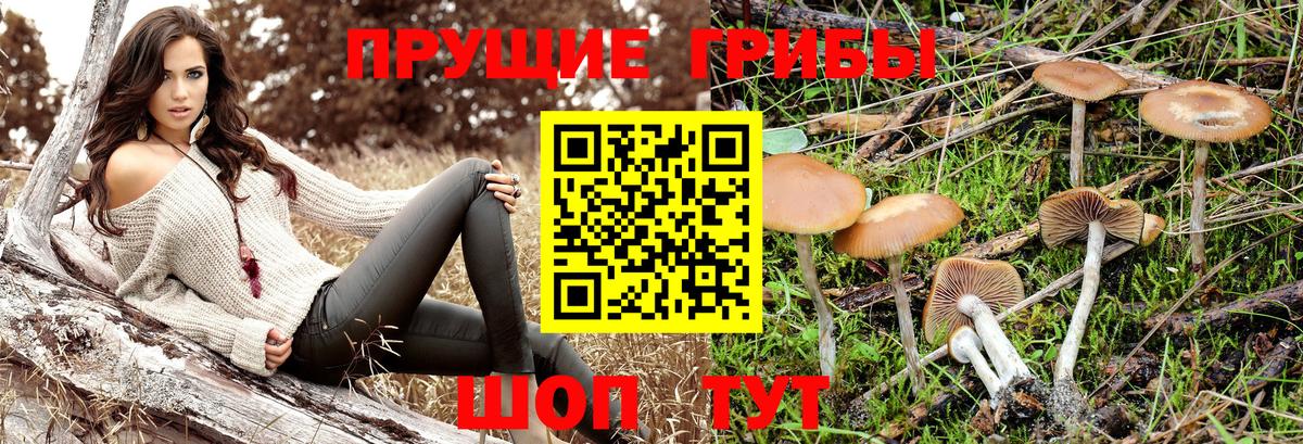 Петровск  Галлюциногенные грибы MAGIC MUSHROOMS  Псилоцибиновые грибы мухоморы  как найти закладки  Вход с VPN 